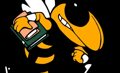 Georgia Tech Yellow Jackets