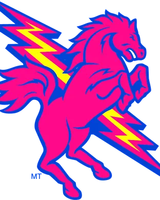 St. Johns Red Storm